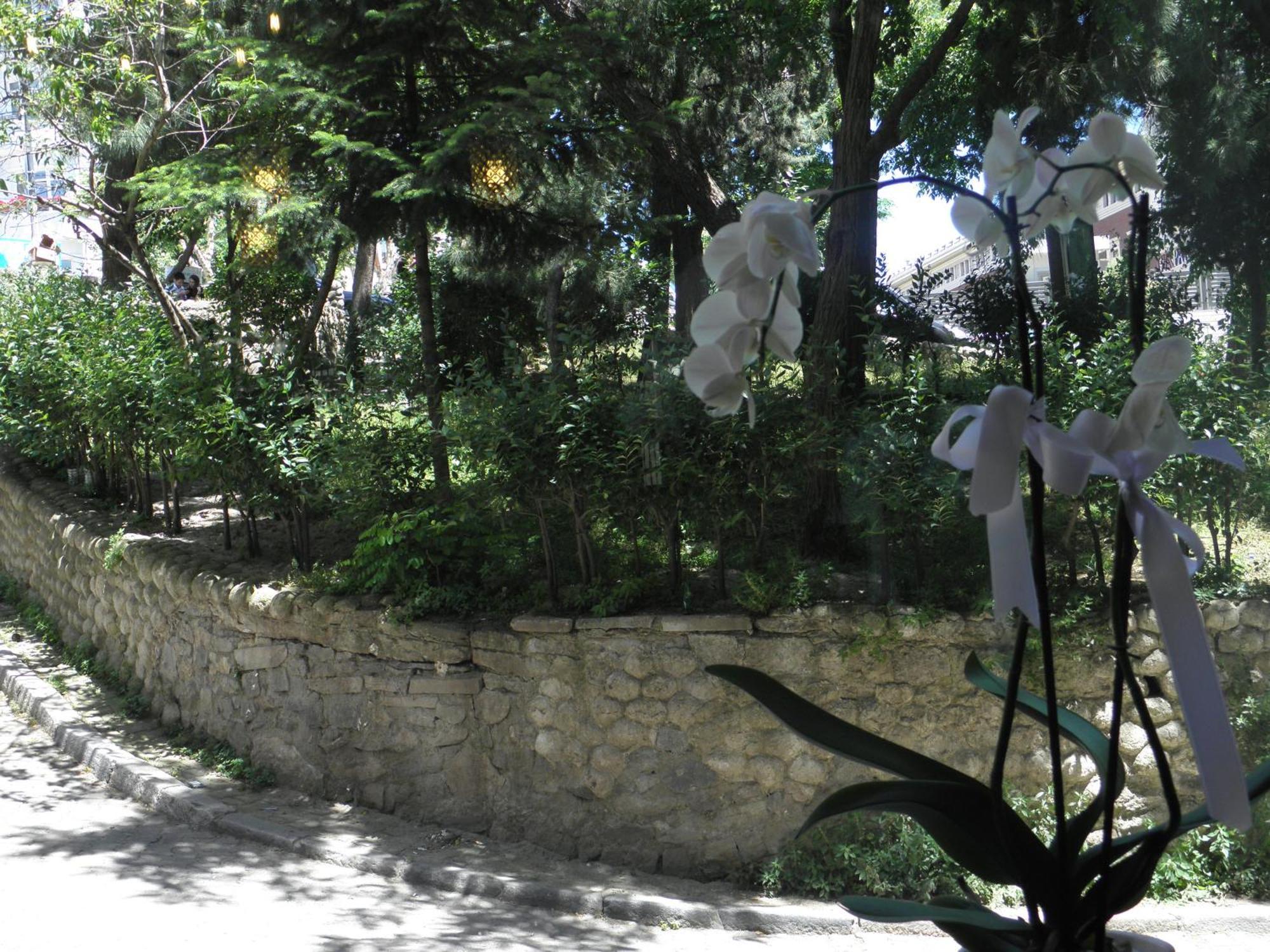 איסטמבול Omar Sultan Park Suites מראה חיצוני תמונה